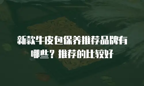 新款牛皮包保养推荐品牌有哪些？推荐的比较好