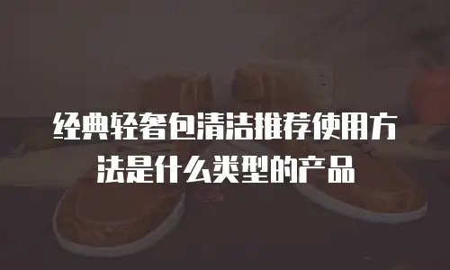经典轻奢包清洁推荐使用方法是什么类型的产品