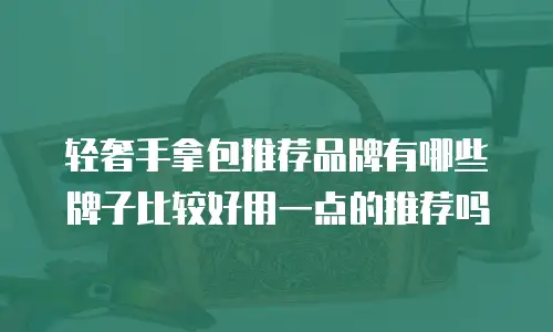 轻奢手拿包推荐品牌有哪些牌子比较好用一点的推荐吗