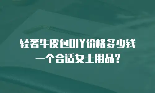 轻奢牛皮包DIY价格多少钱一个合适女士用品？