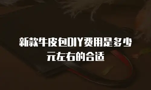 新款牛皮包DIY费用是多少元左右的合适