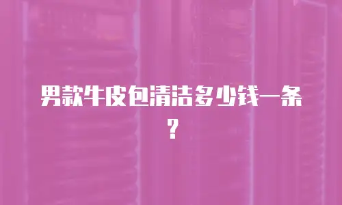 男款牛皮包清洁多少钱一条？