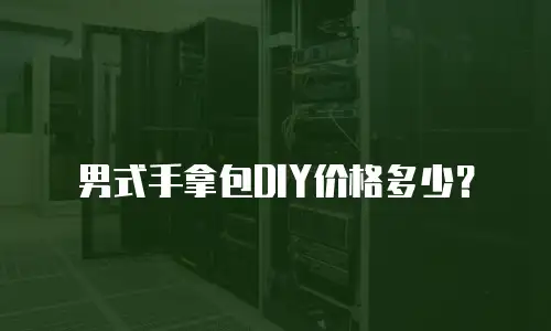 男式手拿包DIY价格多少？