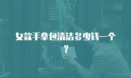 女款手拿包清洁多少钱一个？