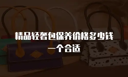 精品轻奢包保养价格多少钱一个合适