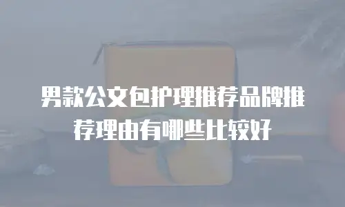男款公文包护理推荐品牌推荐理由有哪些比较好