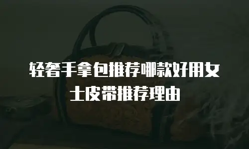 轻奢手拿包推荐哪款好用女士皮带推荐理由