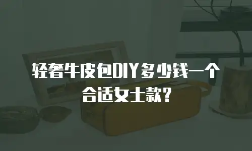 轻奢牛皮包DIY多少钱一个合适女士款？