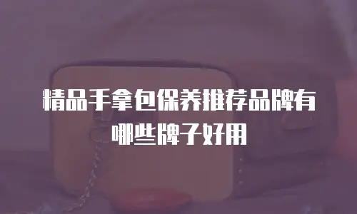 精品手拿包保养推荐品牌有哪些牌子好用