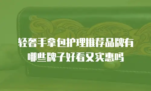 轻奢手拿包护理推荐品牌有哪些牌子好看又实惠吗