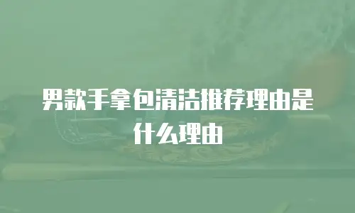 男款手拿包清洁推荐理由是什么理由