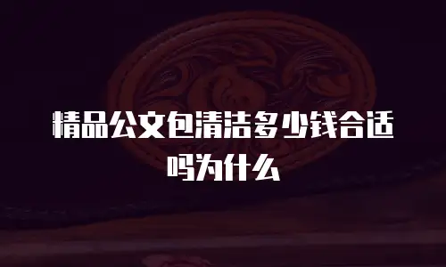 精品公文包清洁多少钱合适吗为什么
