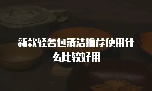 新款轻奢包清洁推荐使用什么比较好用