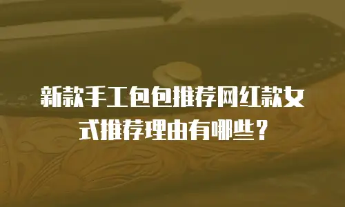 新款手工包包推荐网红款女式推荐理由有哪些？