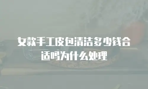 女款手工皮包清洁多少钱合适吗为什么处理