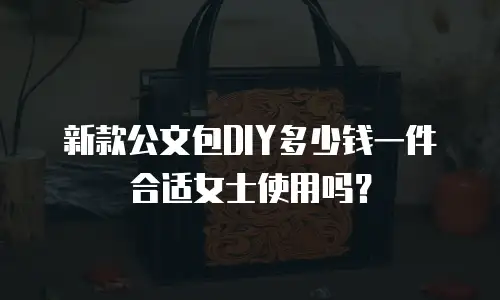 新款公文包DIY多少钱一件合适女士使用吗？