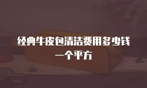 经典牛皮包清洁费用多少钱一个平方