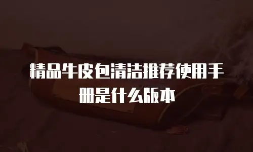 精品牛皮包清洁推荐使用手册是什么版本
