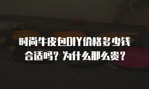 时尚牛皮包DIY价格多少钱合适吗？为什么那么贵？