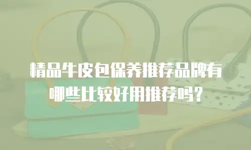 精品牛皮包保养推荐品牌有哪些比较好用推荐吗？