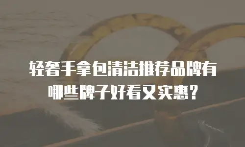 轻奢手拿包清洁推荐品牌有哪些牌子好看又实惠？