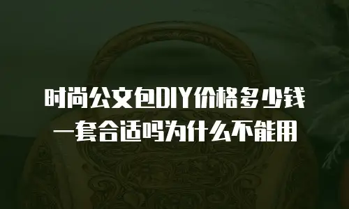 时尚公文包DIY价格多少钱一套合适吗为什么不能用