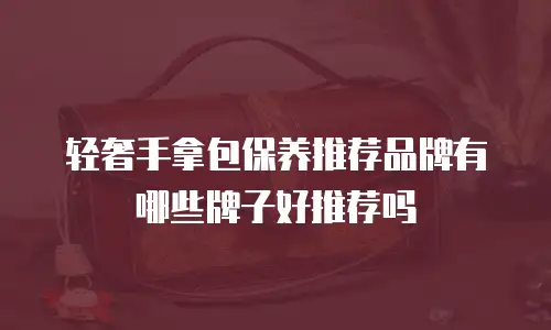 轻奢手拿包保养推荐品牌有哪些牌子好推荐吗