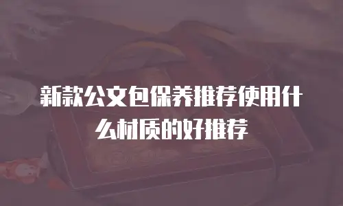 新款公文包保养推荐使用什么材质的好推荐