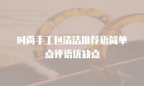 时尚手工包清洁推荐语简单点评语优缺点
