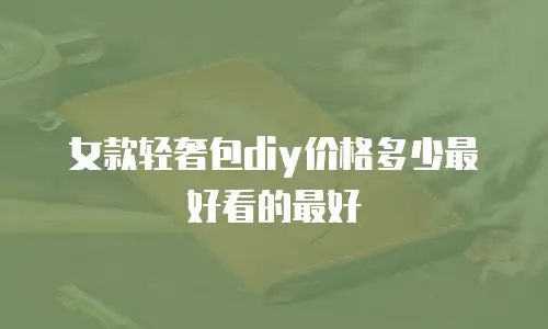 女款轻奢包diy价格多少最好看的最好