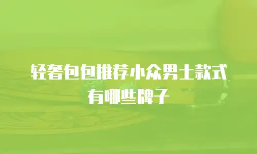 轻奢包包推荐小众男士款式有哪些牌子
