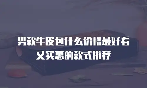 男款牛皮包什么价格最好看又实惠的款式推荐