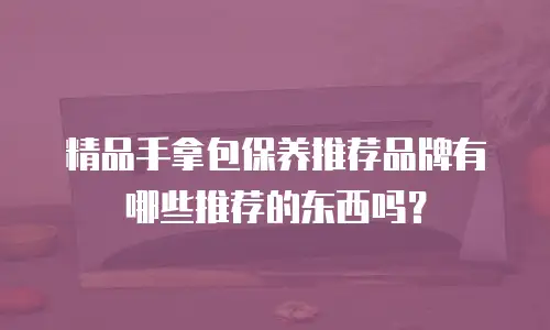 精品手拿包保养推荐品牌有哪些推荐的东西吗？