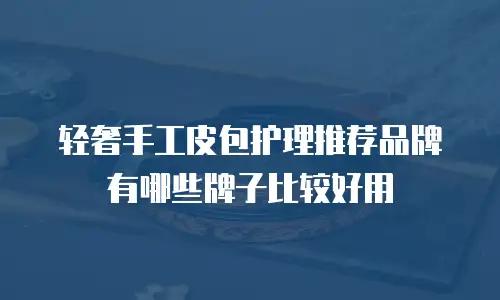 轻奢手工皮包护理推荐品牌有哪些牌子比较好用