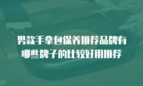 男款手拿包保养推荐品牌有哪些牌子的比较好用推荐