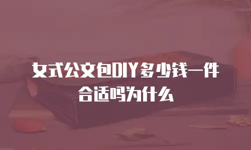 女式公文包DIY多少钱一件合适吗为什么