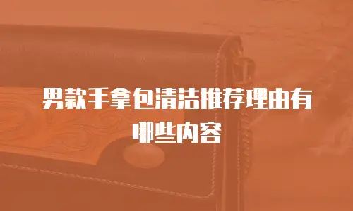 男款手拿包清洁推荐理由有哪些内容