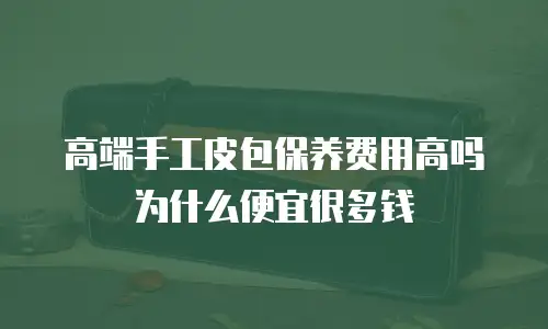 高端手工皮包保养费用高吗为什么便宜很多钱