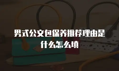 男式公文包保养推荐理由是什么怎么填