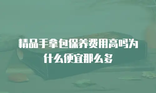精品手拿包保养费用高吗为什么便宜那么多