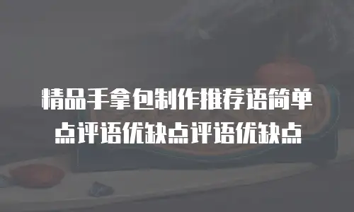 精品手拿包制作推荐语简单点评语优缺点评语优缺点