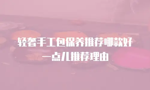 轻奢手工包保养推荐哪款好一点儿推荐理由