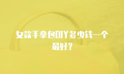 女款手拿包DIY多少钱一个最好？