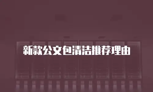 新款公文包清洁推荐理由