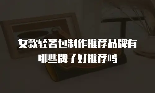 女款轻奢包制作推荐品牌有哪些牌子好推荐吗