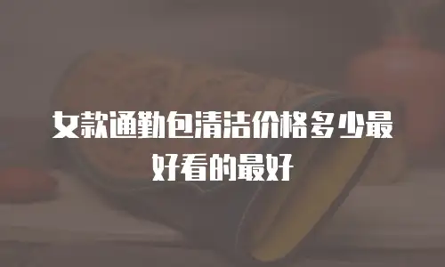 女款通勤包清洁价格多少最好看的最好
