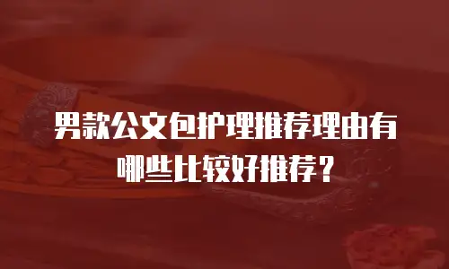 男款公文包护理推荐理由有哪些比较好推荐？