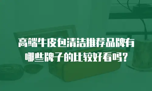 高端牛皮包清洁推荐品牌有哪些牌子的比较好看吗？