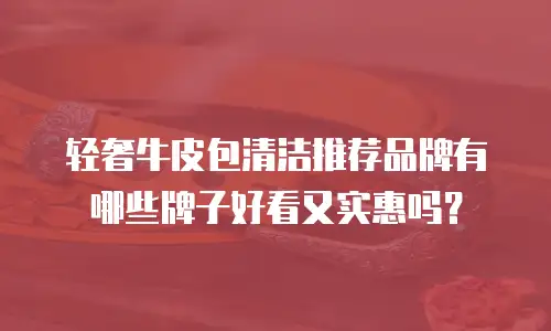 轻奢牛皮包清洁推荐品牌有哪些牌子好看又实惠吗？