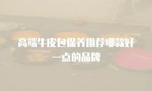 高端牛皮包保养推荐哪款好一点的品牌